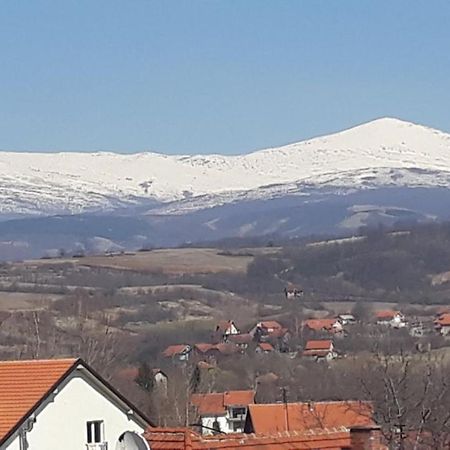 Apartman "Vienna" Soko Banja Esterno foto