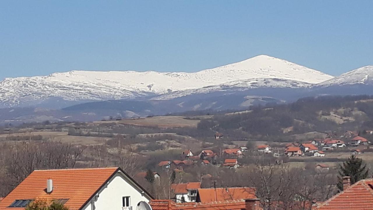 Apartman "Vienna" Soko Banja Esterno foto