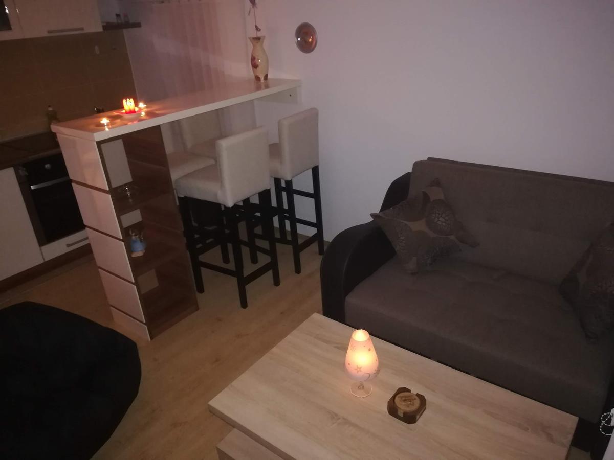 Apartman "Vienna" Soko Banja Esterno foto
